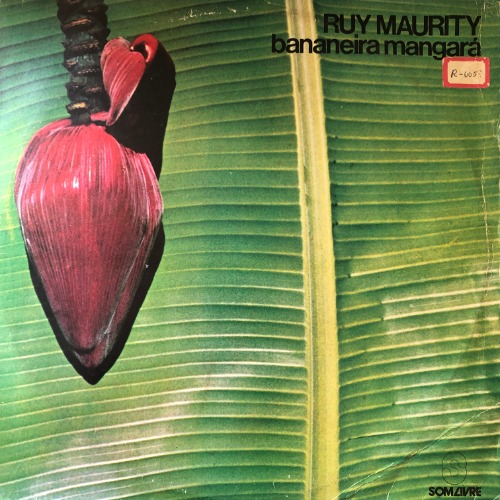 Ruy Maurity - Bananeira Mangará