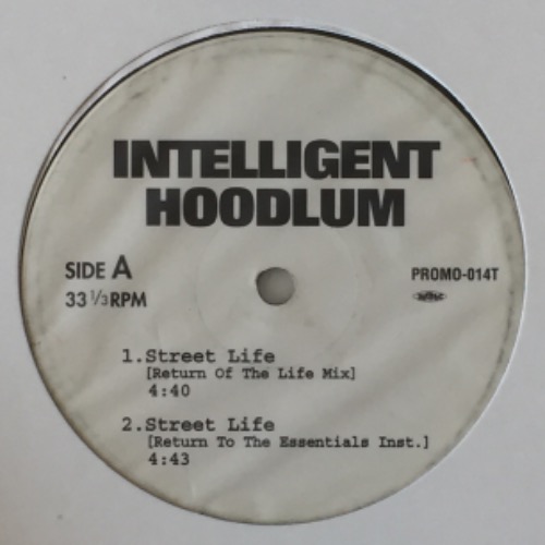 Intelligent Hoodlum / Big Punisher / Sadat X - Various