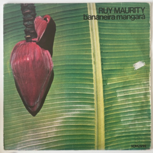 Ruy Maurity - Bananeira Mangará