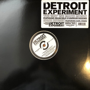 The Detroit Experiment ‎– The Way We Make Music