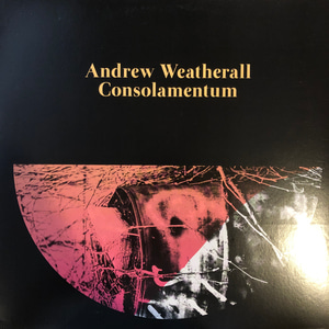 Andrew Weatherall ‎– Consolamentum