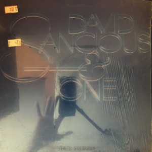 David Sancious &amp; Tone - True Stories