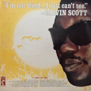 Calvin Scott - I&#039;m Not Blind...I Just Can&#039;t See