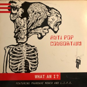 Anti Pop Consortium - What Am I?