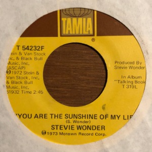 Stevie Wonder - You Are The Sunshine Of My Life / Tuesday Heartbreak