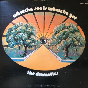 The Dramatics	- Whatcha See Is Whatcha Get