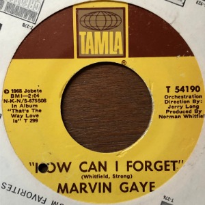 Marvin Gaye - How Can I Forget / Gonna Give Her All The Love I&#039;ve Got