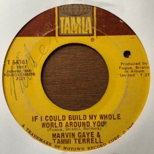 Marvin Gaye &amp; Tammi Terrell - If I Could Build My Whole World Around You