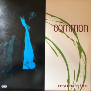 Common Sense - Resurrection