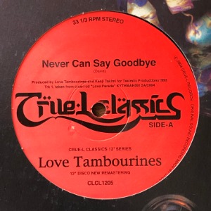 Love Tambourines - Never Can Say Goodbye