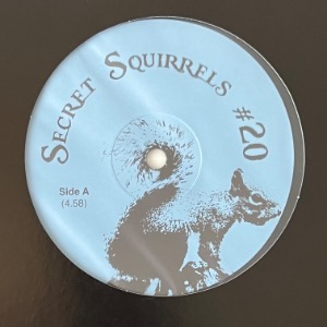 Secret Squirrel - Secret Squirrels #20