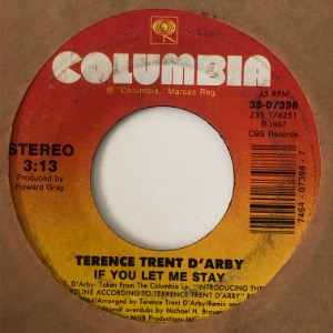 Terence Trent D&#039;Arby - If You Let Me Stay