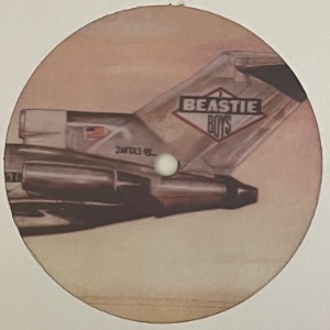 Beastie Boys - Fight For Your Right (Junkie XL Remix)