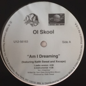 Ol Skool - Am I Dreaming
