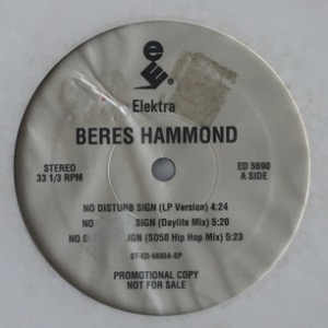 Beres Hammond - No Disturb Sign