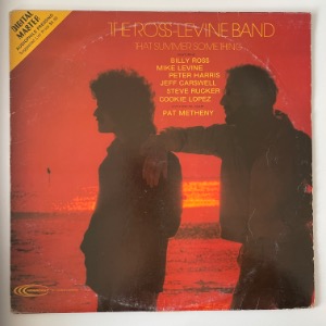 The Ross-Levine Band - That Summer Something