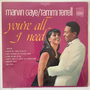 Marvin Gaye &amp; Tammi Terrell - You&#039;re All I Need