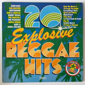 Various - 20 Explosive Reggae Hits