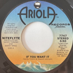 Niteflyte - If You Want It / I Wonder (If I&#039;m Falling In Love Again)