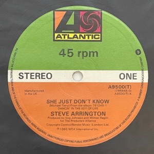 Steve Arrington - She Just Don&#039;t Know