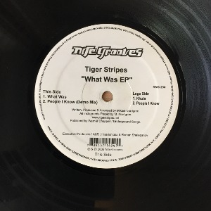 Tiger Stripes - What Was EP