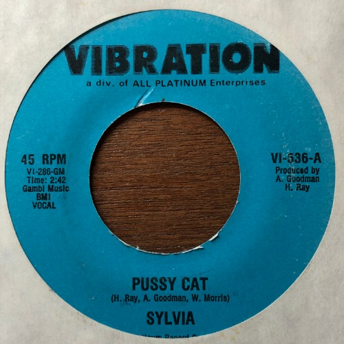 Sylvia Pussy Cat Mosaicseoul