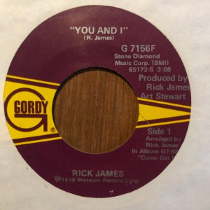 Rick James ‎– You And I / Hollywood