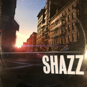 Shazz ‎– In The Light