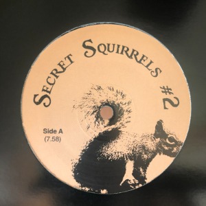 Secret Squirrel - Secret Squirrels #2