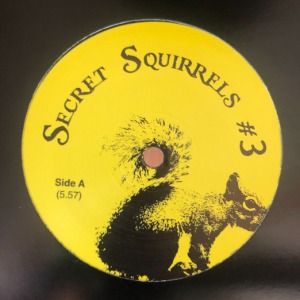 Unknown Artist - Secret Squirrels #3