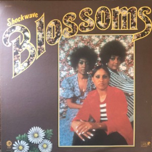 The Blossoms - 9Shockwave