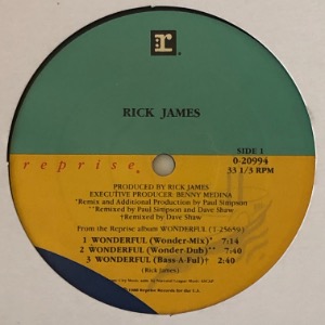 Rick James - Wonderful