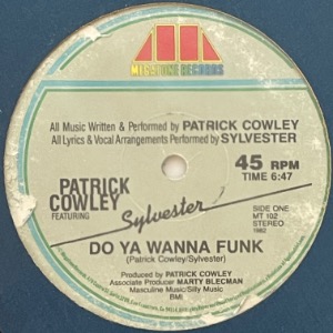Patrick Cowley Featuring Sylvester - Do Ya Wanna Funk