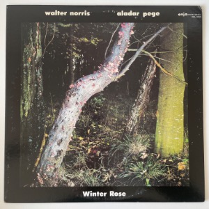 Walter Norris, Aladar Pege - Winter Rose