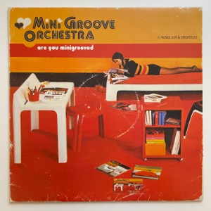 Mini Groove Orchestra - Are You Minigrooved
