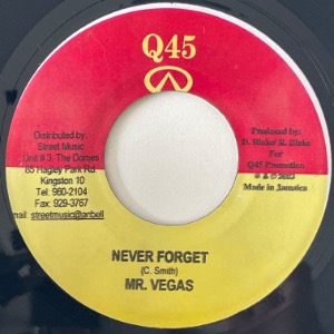 Mr. Vegas / Harry Toddler - Never Forget / Model Again
