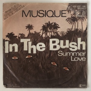 Musique - In The Bush