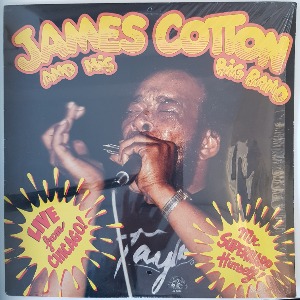 James Cotton And His Big Band – Live From Chicago - Mr. Superharp Himself!