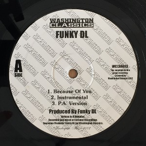 Funky DL - Because Of You / Wonderful