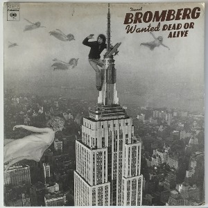 David Bromberg - Wanted Dead Or Alive