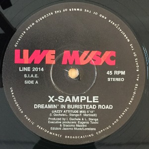 X-Sample - Dreamin&#039; In Buristead Road